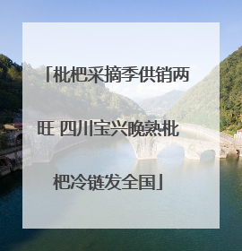 枇杷采摘季供销两旺 四川宝兴晚熟枇杷冷链发全国